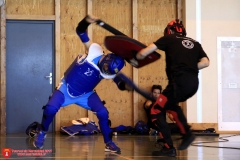 2017-06-10&11 - Tournoi du Marchidial - Tournoi épée bouclier SENIORS - 009 - www.marchidial.fr