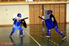 2017-06-10&11 - Tournoi du Marchidial - Tournoi épée bouclier SENIORS - 045 - www.marchidial.fr